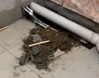 荷塘卫生间漏水检测哪家好